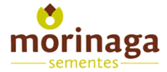 Morinaga Sementes